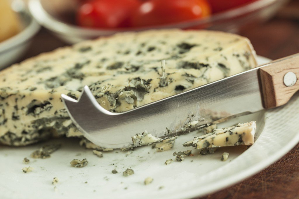 Cheese Bacteria Worries FDA Blog