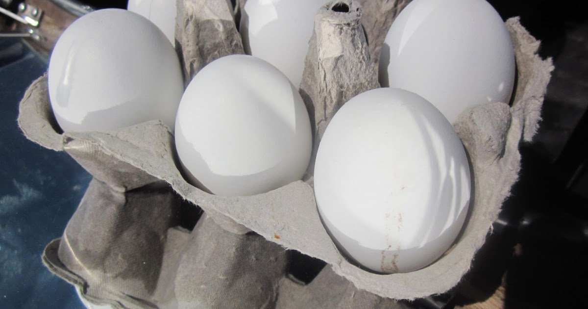 Sun Oven Easter Egg Cooking In The Kitchen With Honeyville