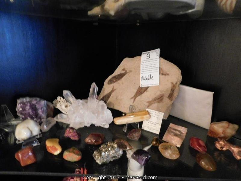Rocks And Minerals