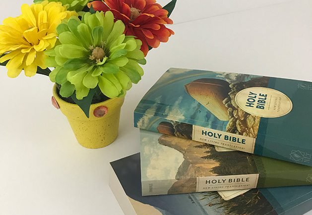 three bulk Bibles for churches on white tabletop next to yellow flowerpot with yellow, green and orange blossoms